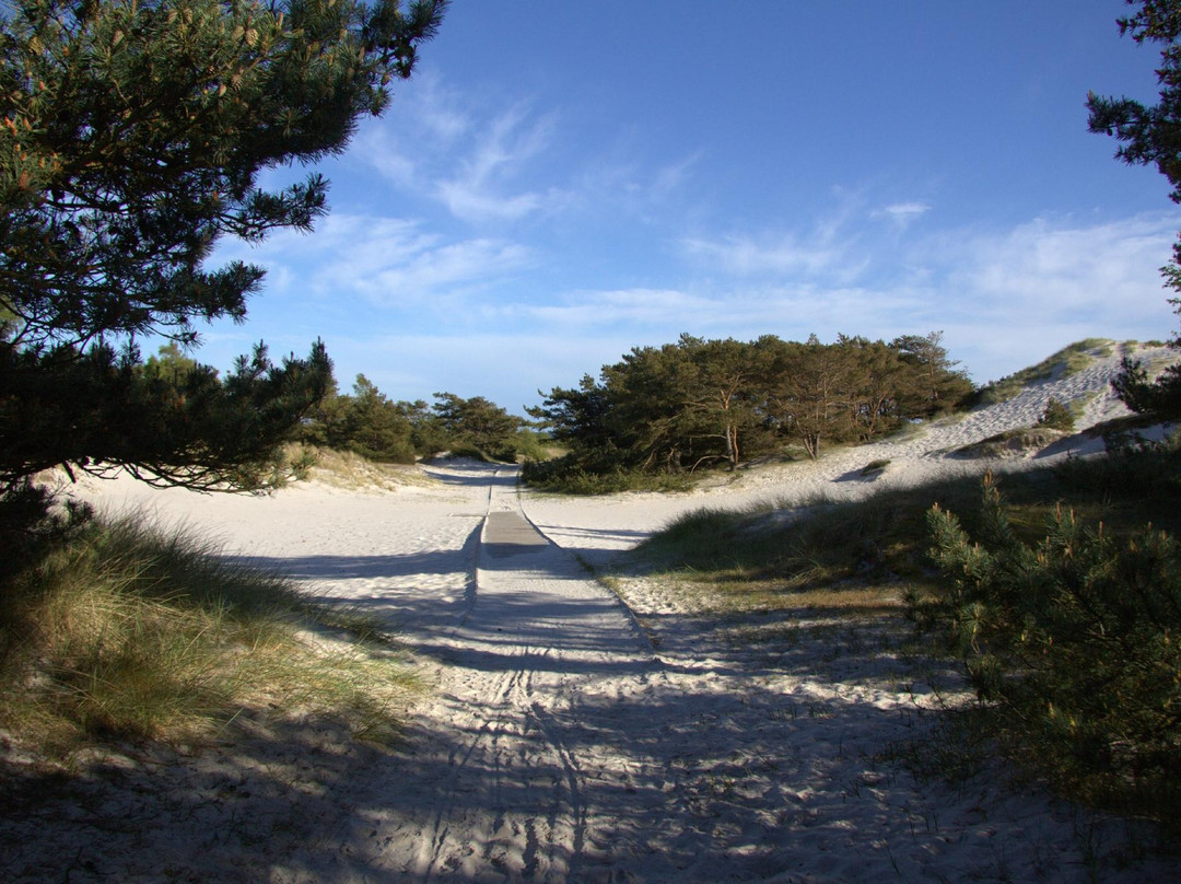 Strandmarken Dueodde-内克瑟必去景点