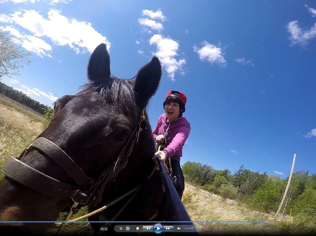 Falcon Beach Ranch-Falcon Lake必去景点