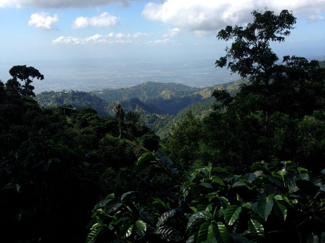 Blue Mountain Experience-内格里尔必去景点