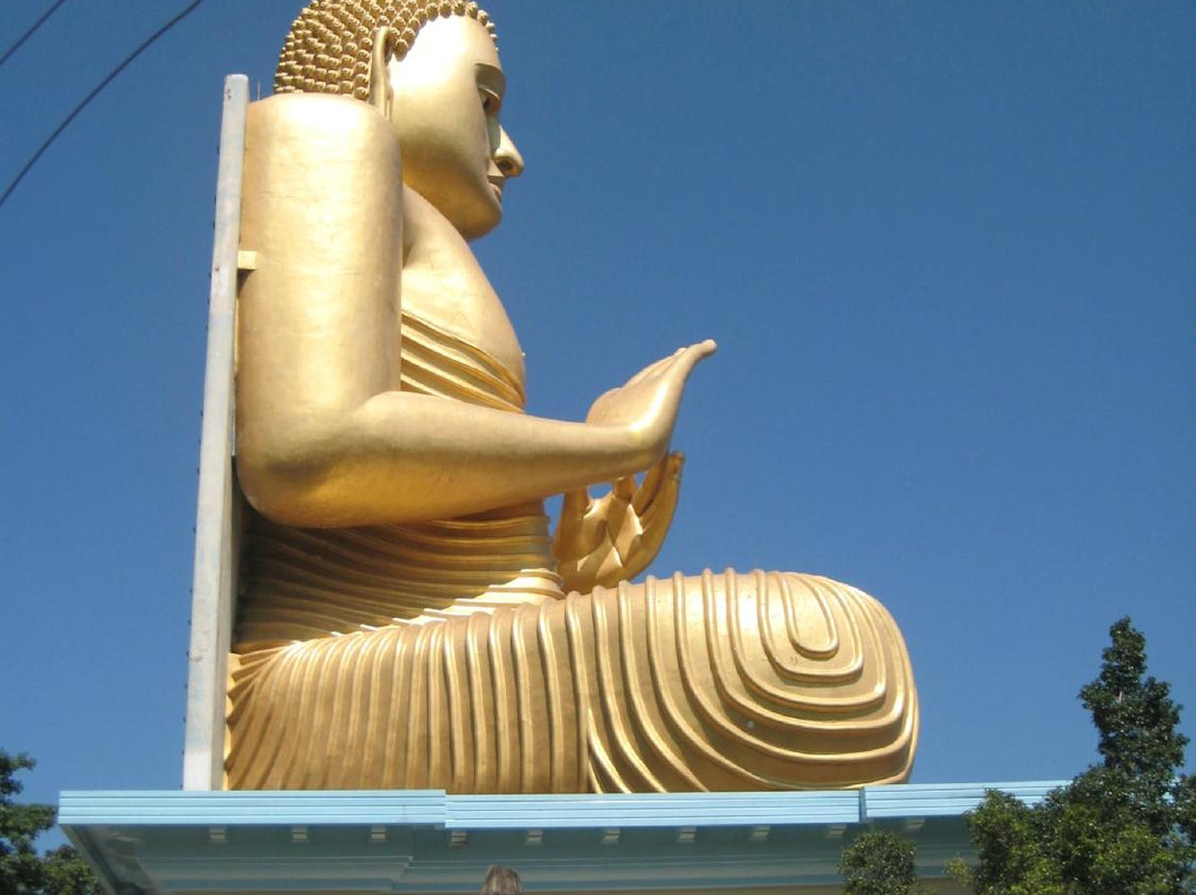 Sri Land Tours景点图片
