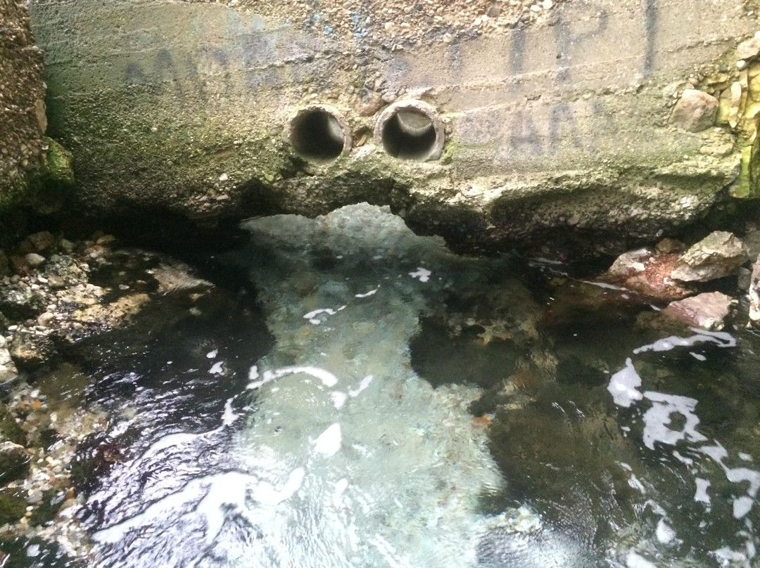 Orea Eleni Natural Thermal Spring-Loutra Elenis必去景点