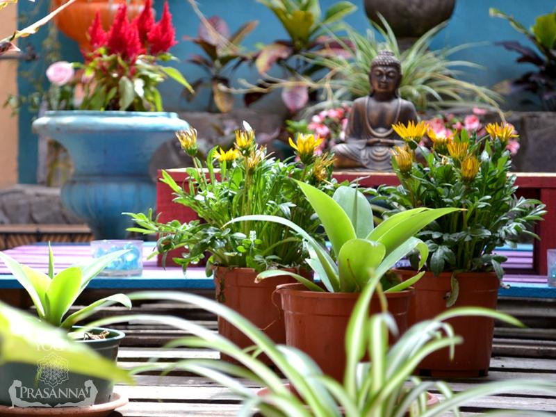 Yoga Prasanna景点图片
