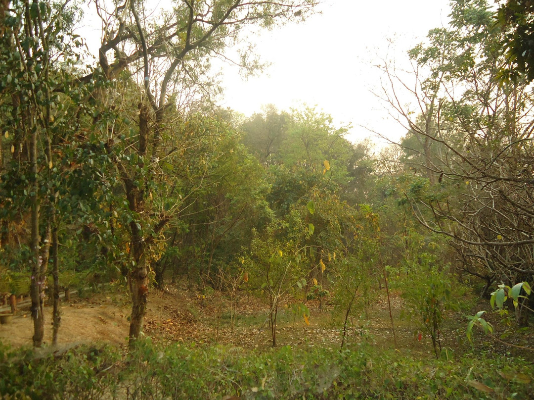 Khonghampat Orchidarium-因帕尔必去景点