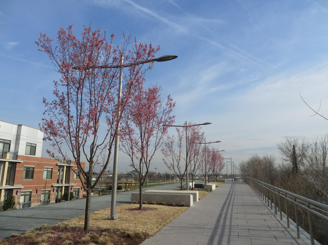 Long Bridge Park-阿灵顿必去景点