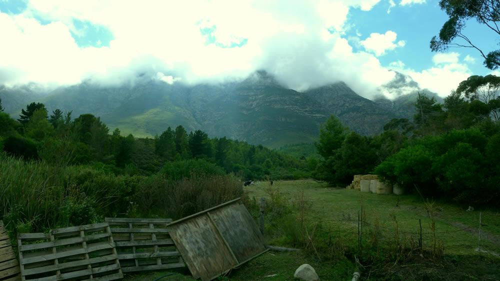 Horse About Trails景点图片