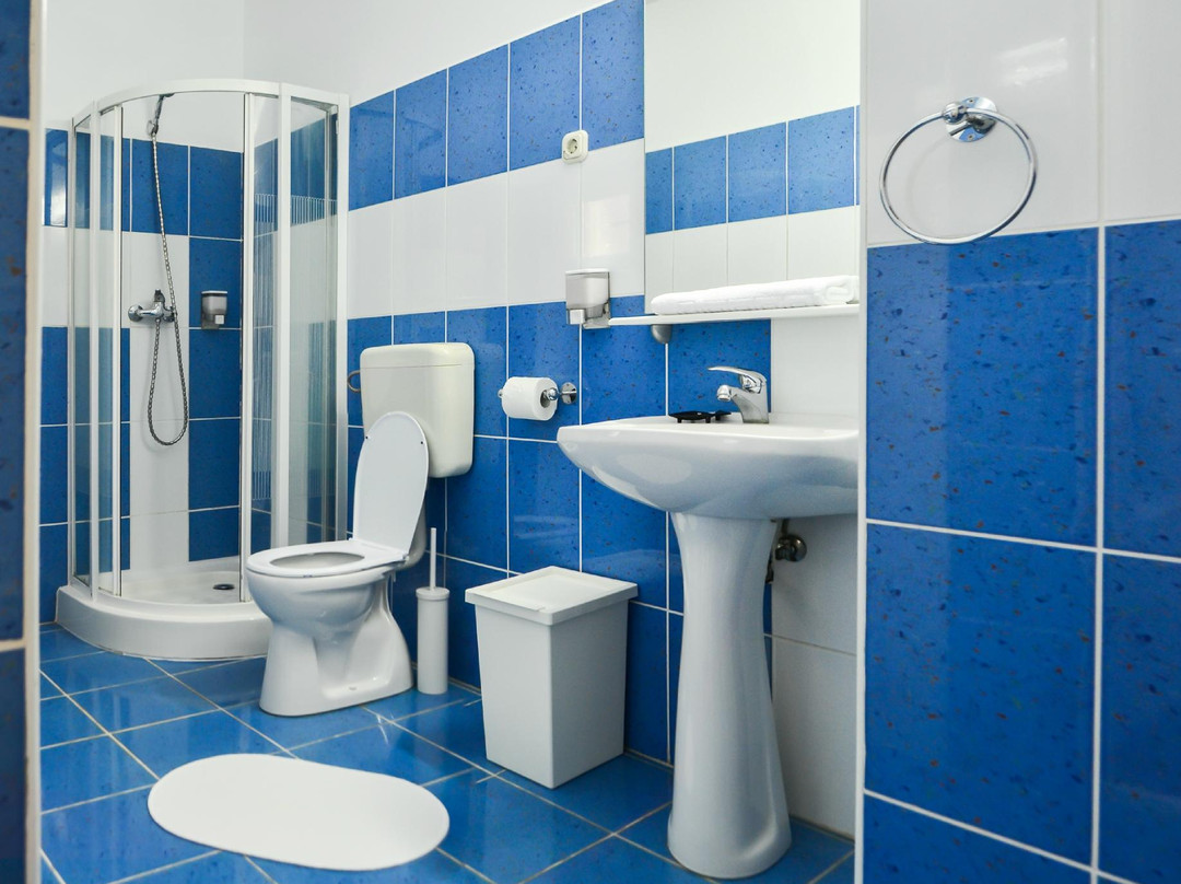 Satu Mare酒店住宿-Casa Transilvania