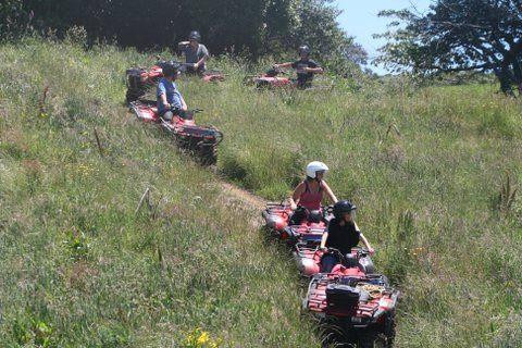 Egmont Quads Taranaki景点图片