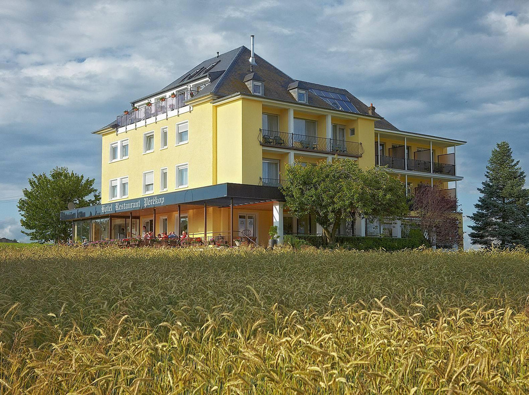 Bollendorf旅游攻略图片