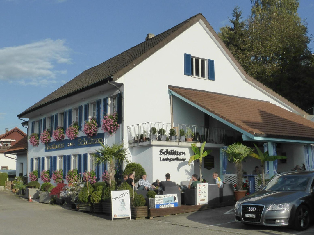 Albbruck餐馆和美食-Gasthaus zum Schützen
