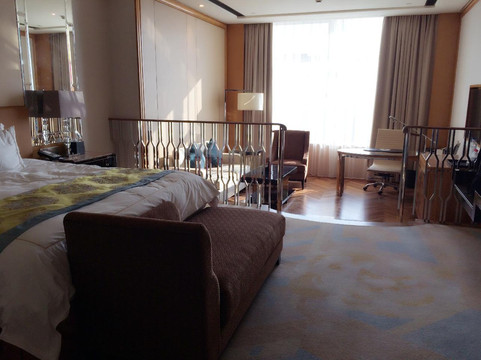 杭州雷迪森铂丽大饭店主图