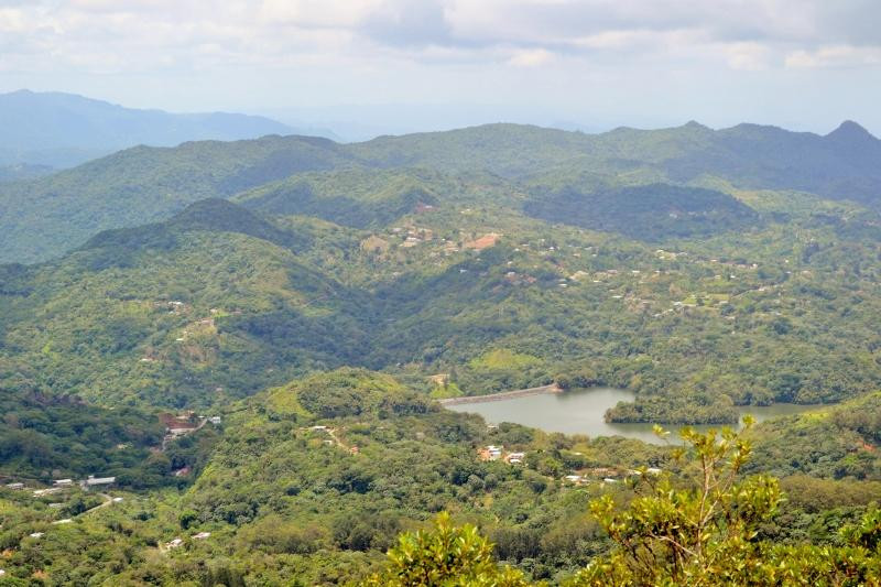 Monte Guilarte State Forest-Adjuntas必去景点