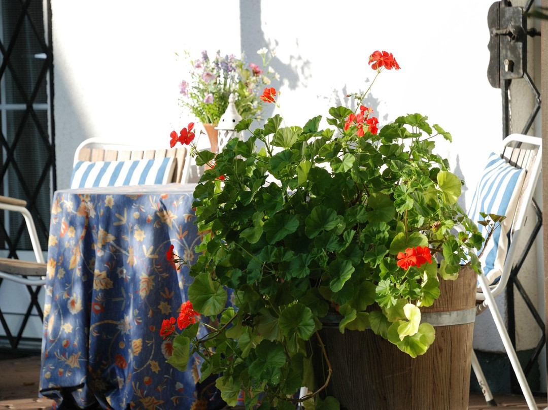 Appartements im Park主图