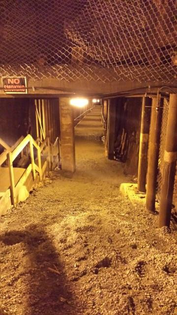 Across The Tickle Tours-Bell Island必去景点