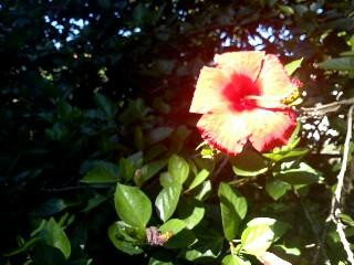 Apart Hotel La Bahia主图