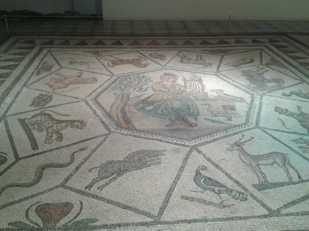 Mouseío Fysikís Istorías Aigaíou-Samos必去景点