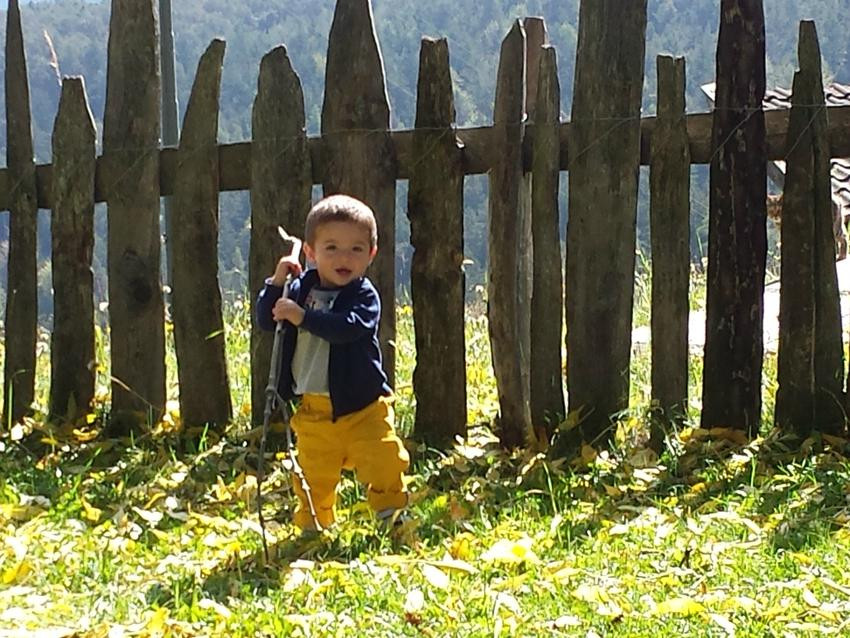 San Genesio Atesino餐馆和美食-Gasthaus Restaurant Tomanegger