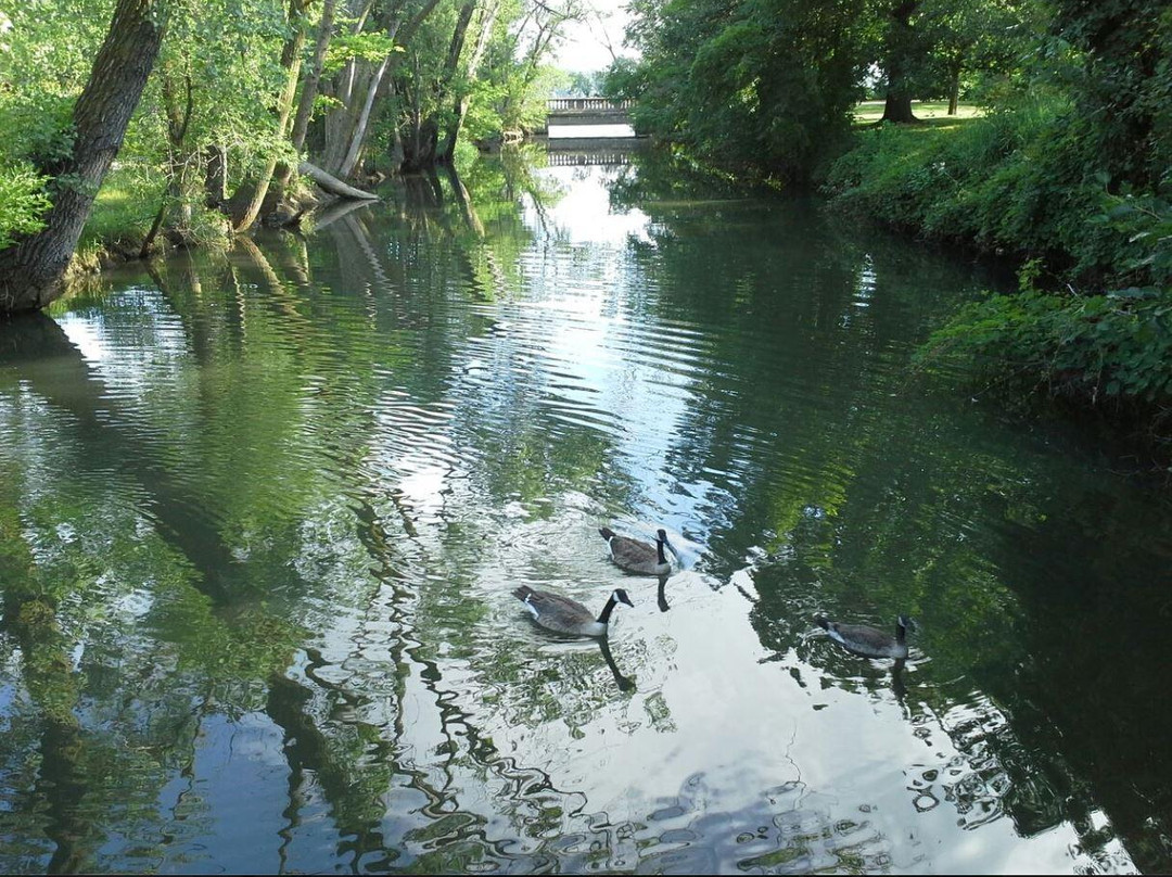 Lakeshore Nature Preserve at University of Wisconsin-麦迪逊必去景点