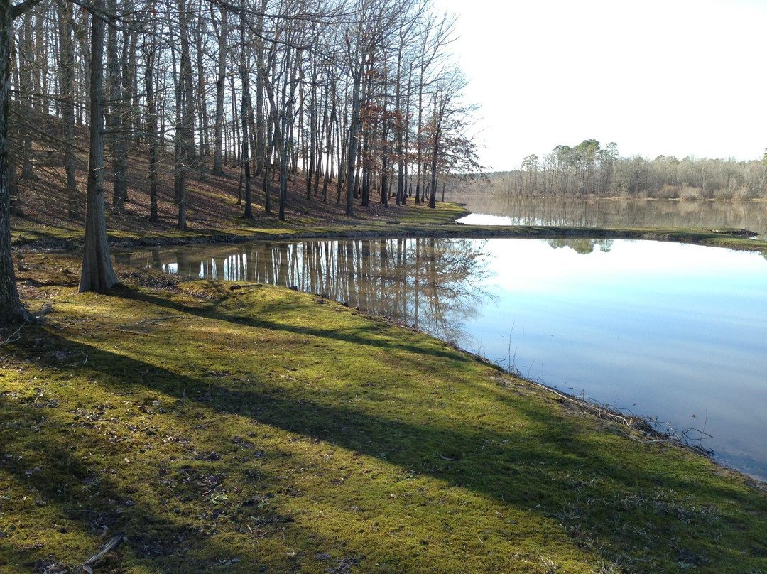 Holly Springs National Forest景点图片