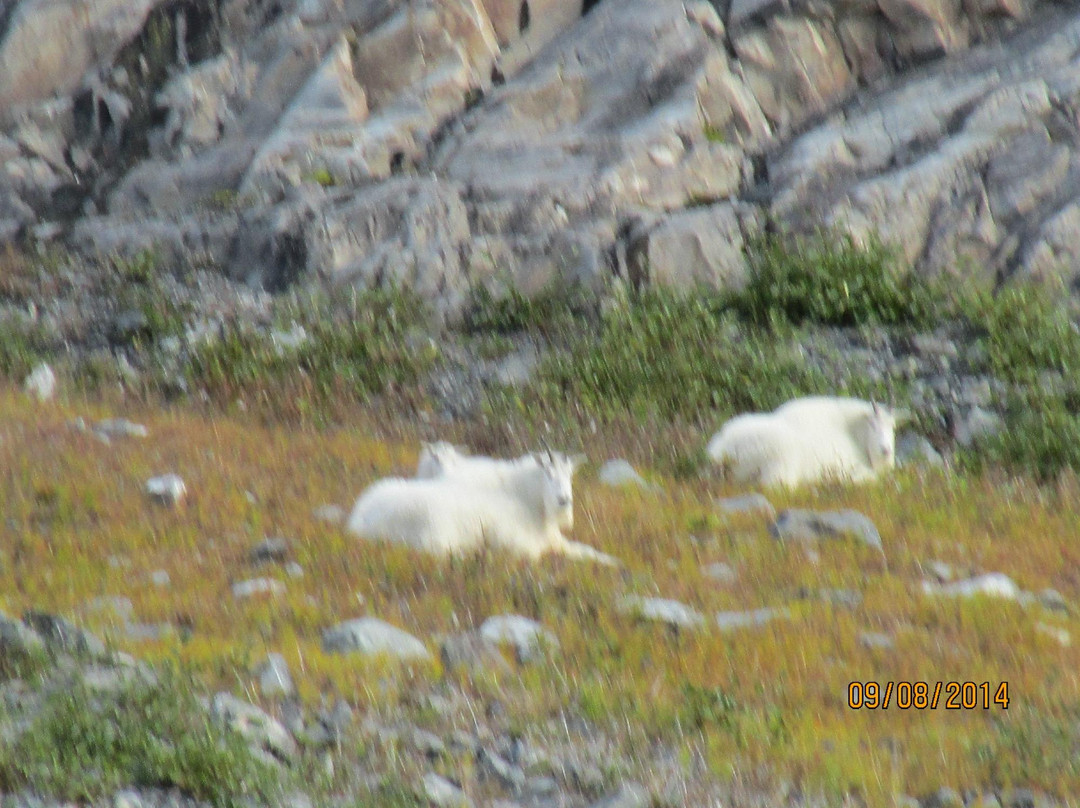 Chugach Coastal Cruising-瓦尔迪兹必去景点