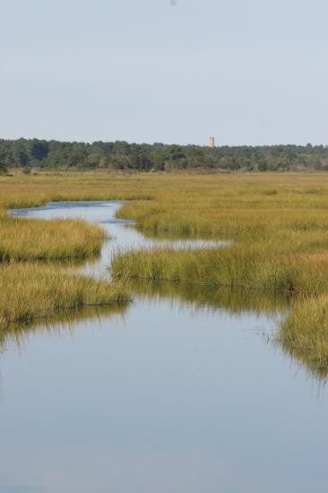 Junction and Breakwater Trail-里霍博斯比奇必去景点