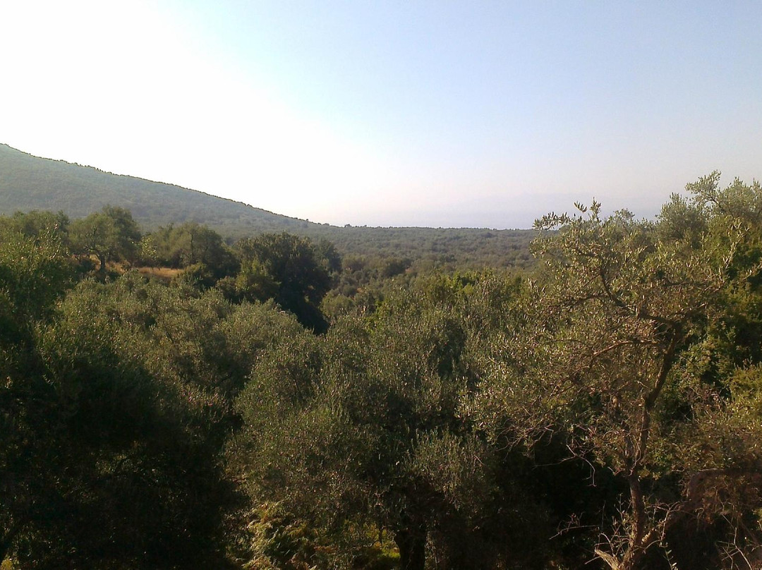 Shkolla Vuno Hostel & Camping
