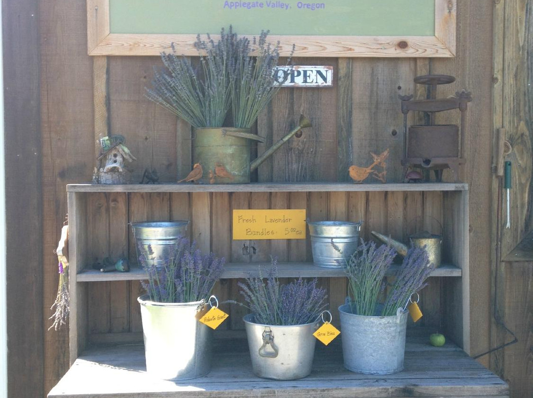 Applegate River Lavender Farm-Jacksonville必去景点