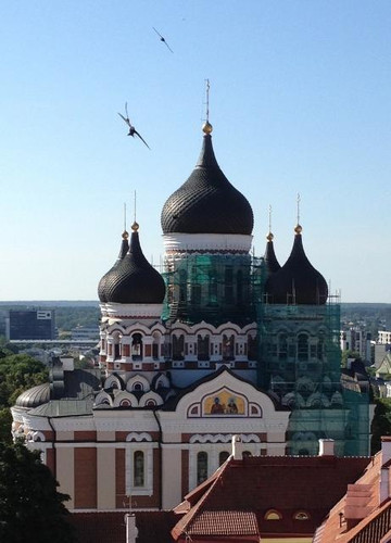 Tallinn Official Sightseeing-塔林必去景点