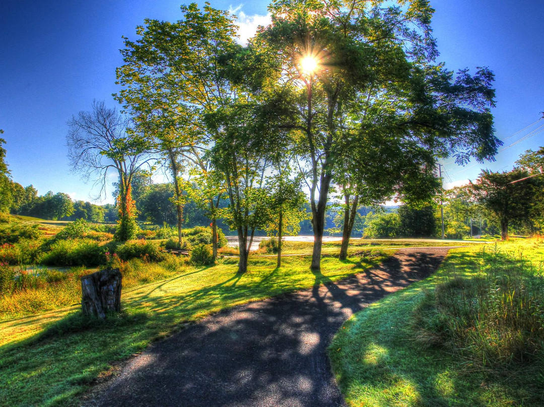 Great Bear Golf Club景点图片