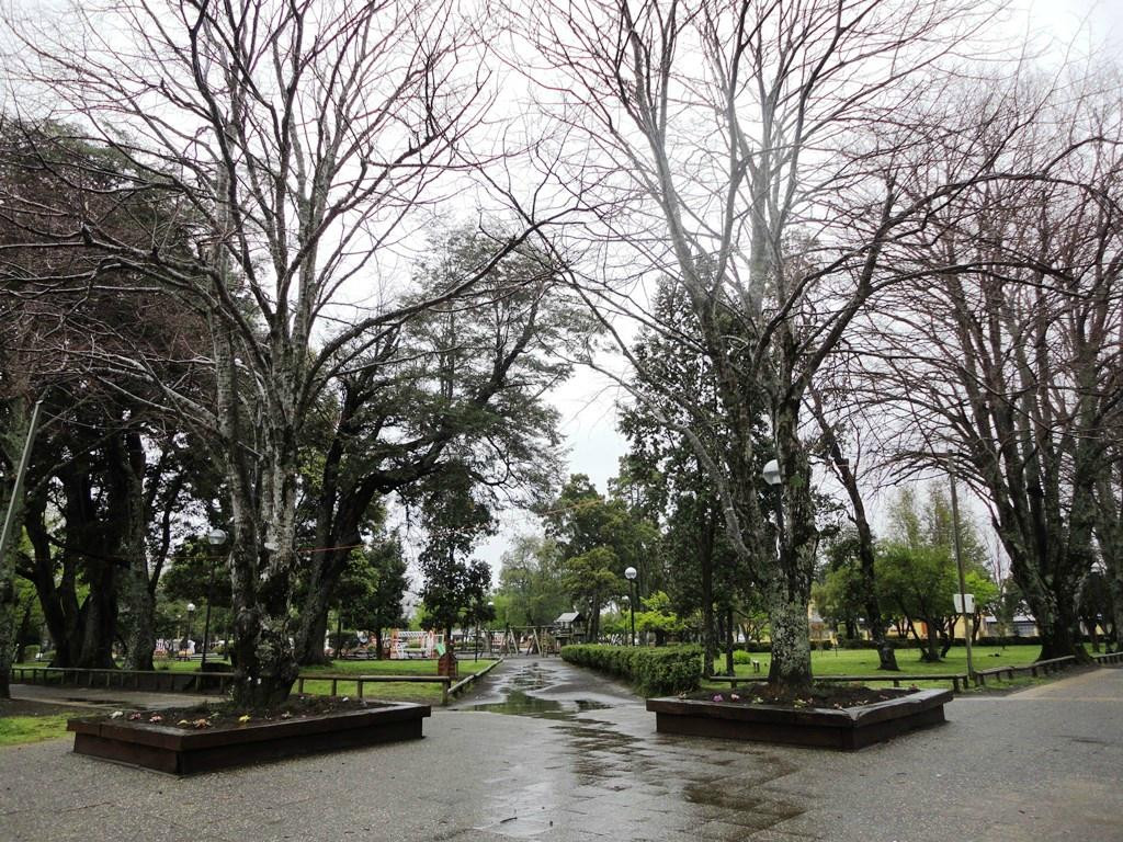 Plaza de Armas de Pucon景点图片