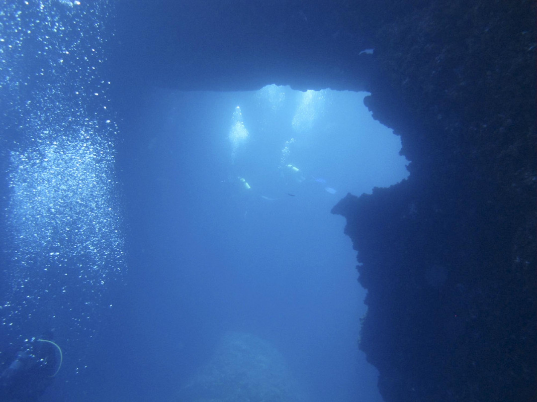 Moby Dives-Xlendi必去景点