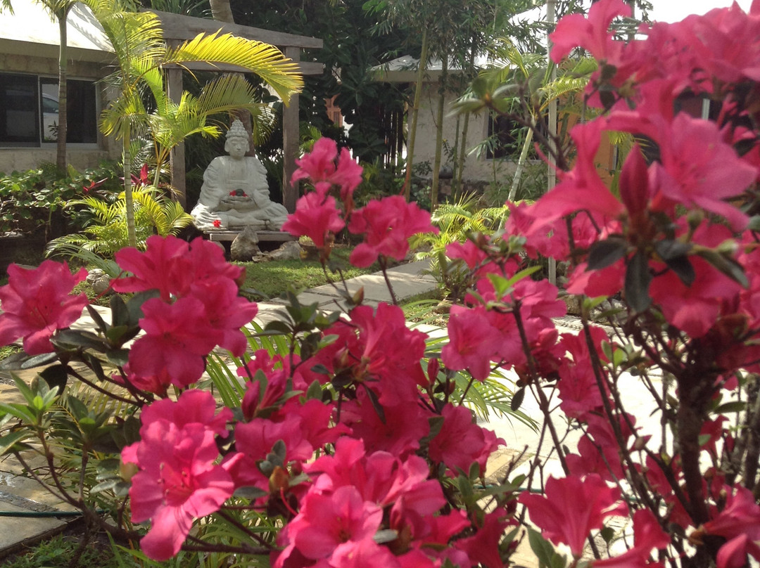 Budha Gardens Spa-艾库玛尔必去景点