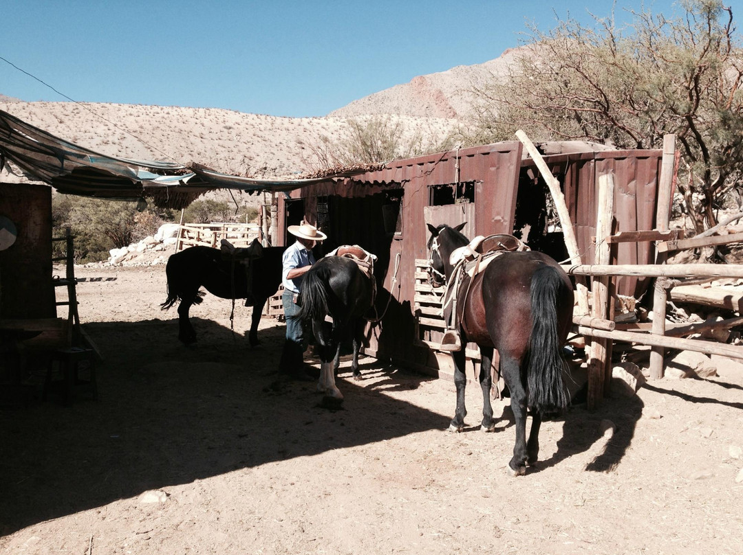 Alcohuaz Expediciones-Pisco Elqui必去景点