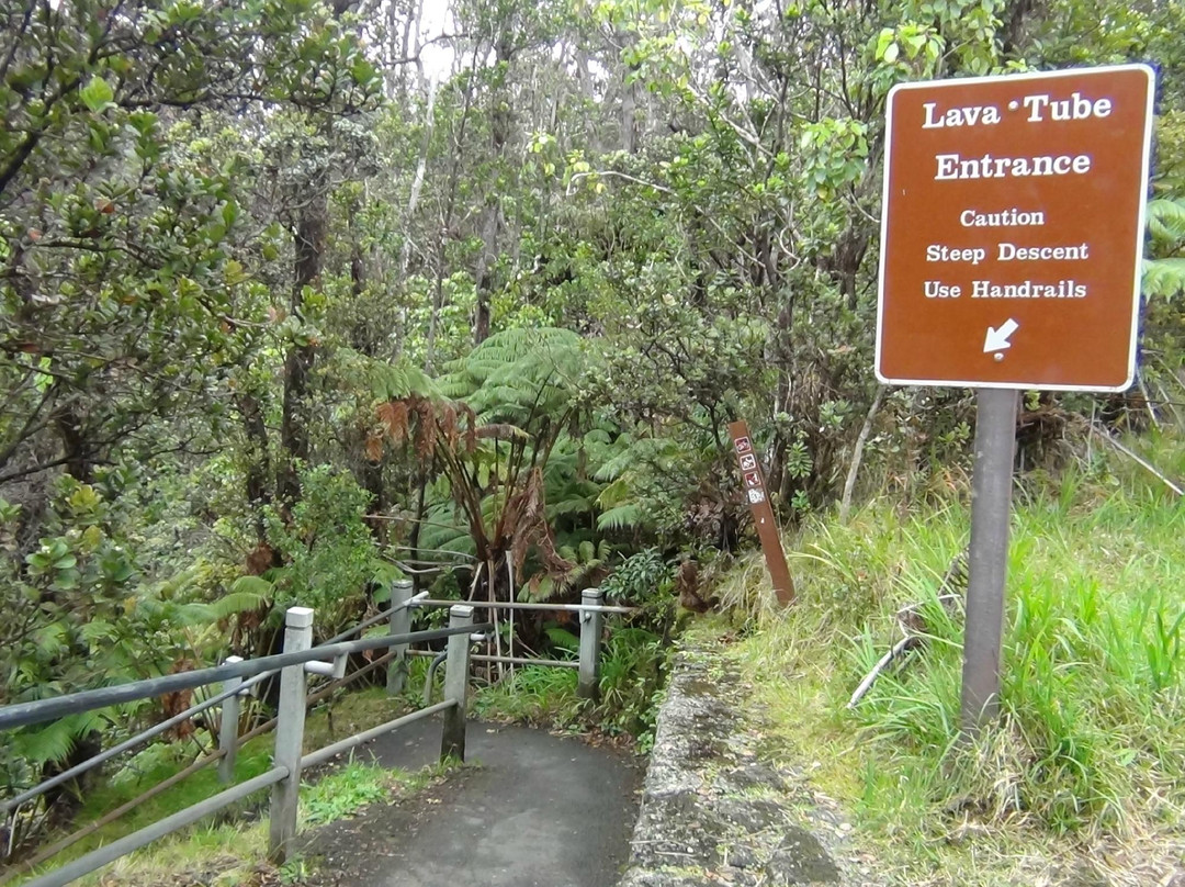 瑟斯顿熔岩隧道-夏威夷火山国家公园必去景点