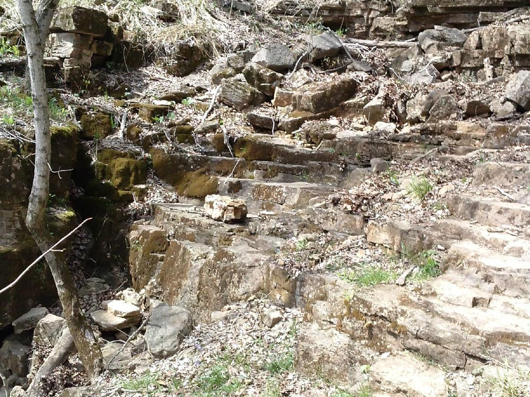 St. Francois State Park景点图片