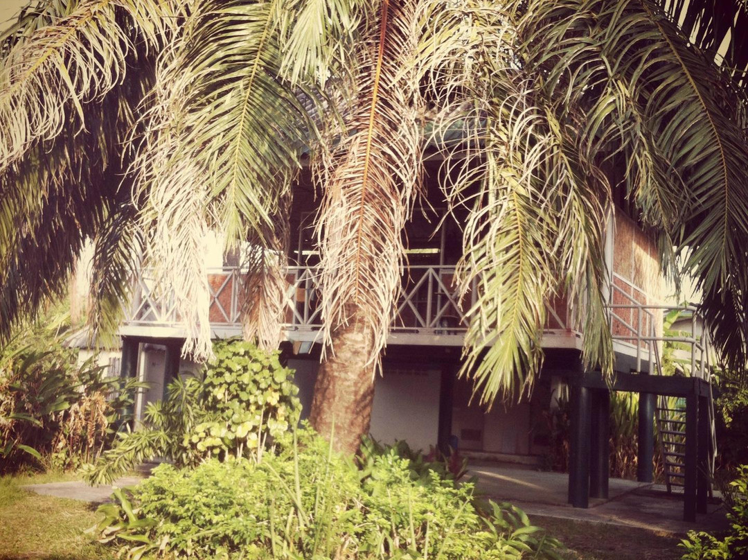 The Little Yoga Room-查龙必去景点