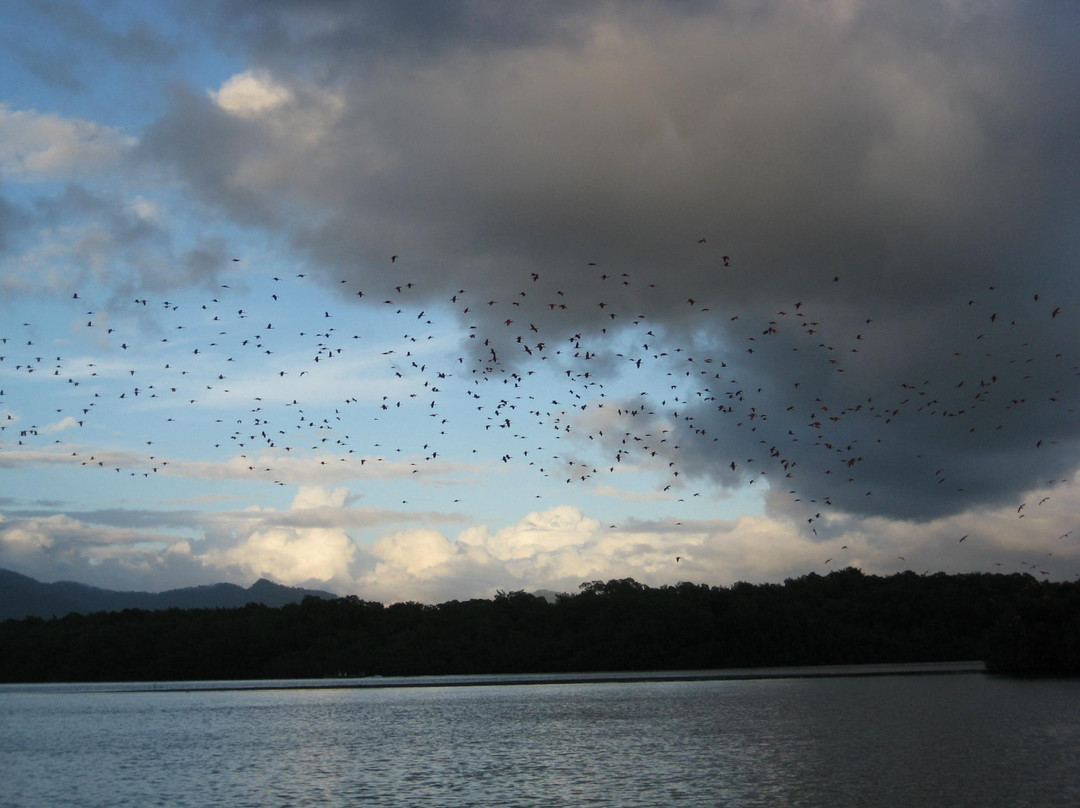 Madoo Bird Tours-Caroni必去景点