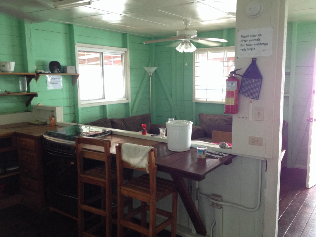 Bocas Surf School & Hostel景点图片