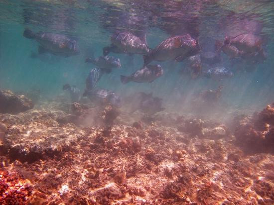 仙本那国家公园-仙本那必去景点