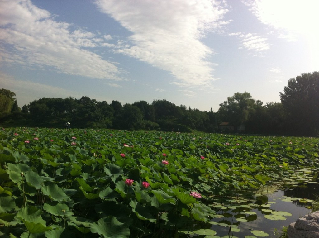 济南环城公园-济南市必去景点
