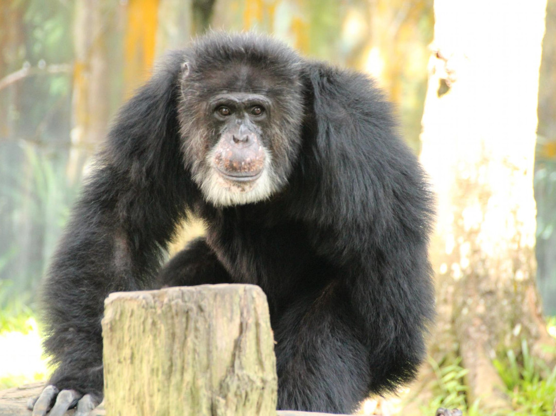 国家动物园-安邦必去景点