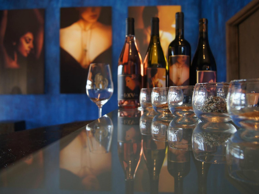 LXV Downtown Wine Tasting Room-帕索罗布尔斯必去景点