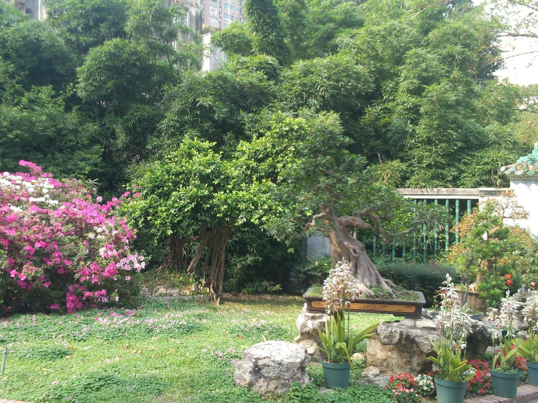卢廉若公园-澳门必去景点