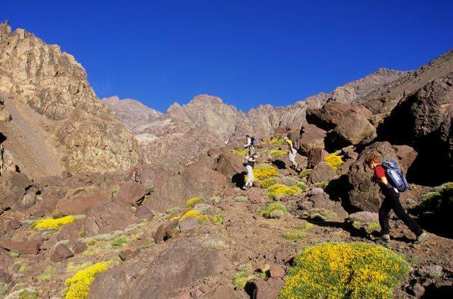 DesertVine - Day Tours-Agdz必去景点