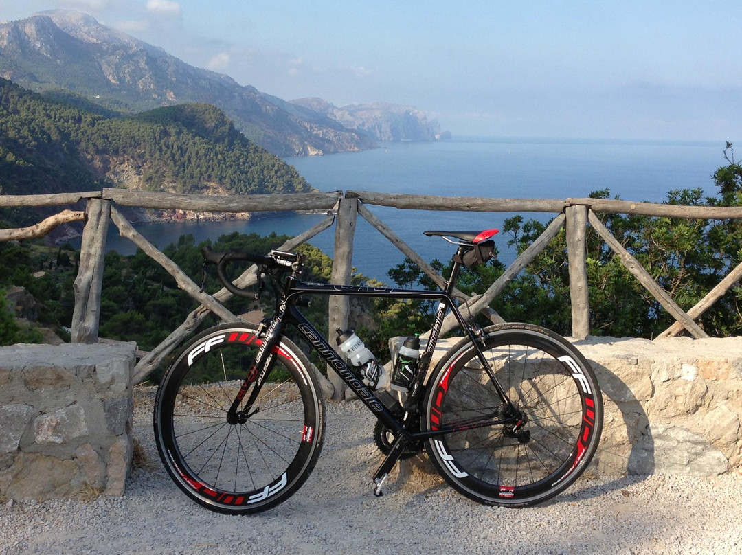 Bikehead Mallorca景点图片