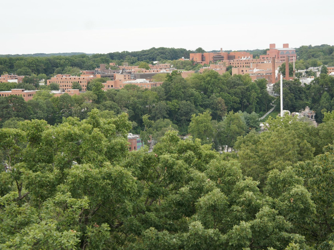 Rockford Park & Tower-威尔明顿必去景点