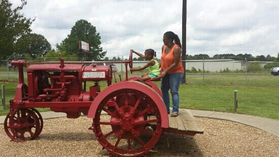 Brookshire's World of Wildlife Museum and Country Store-泰勒必去景点