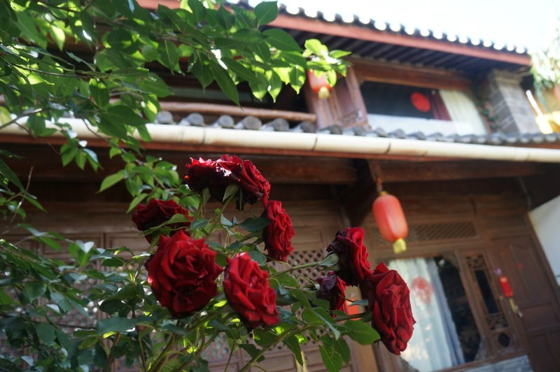 花田驿客栈 主图