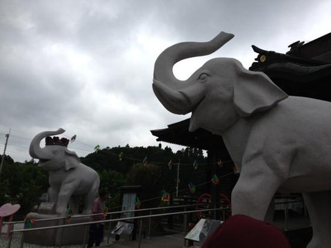 Pond Ojaga-东金市必去景点