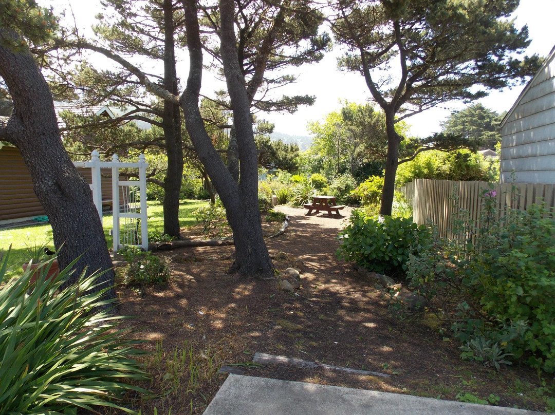 Little Log Church-亚查茨必去景点