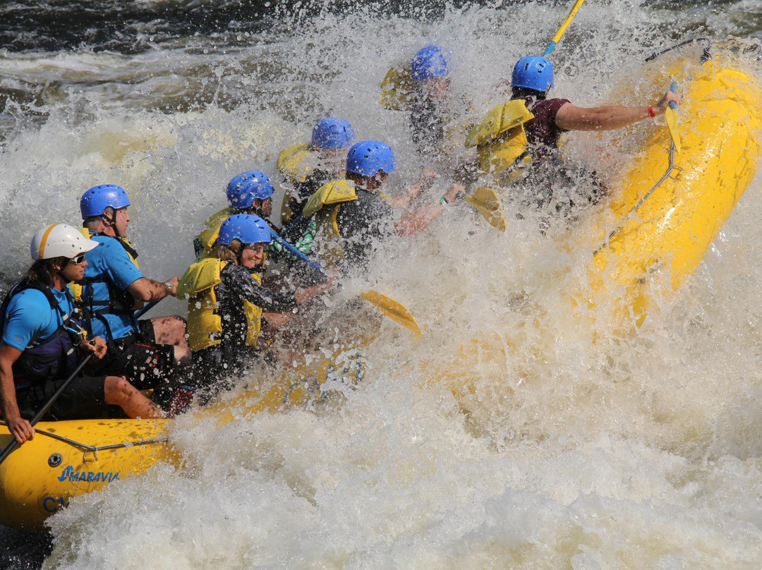 OWL Rafting-Foresters Falls必去景点